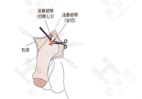 北京博美医疗美容诊所医疗环境与服务优质