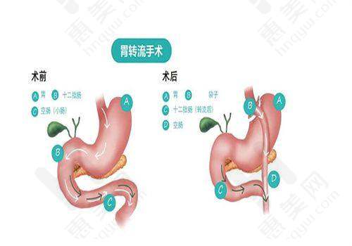 成都中华园整形美容医院汇聚专精骨干医生团队