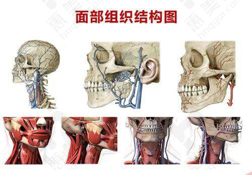 北京美玉颜医疗美容门诊部医护团队专精