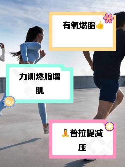 价格对比