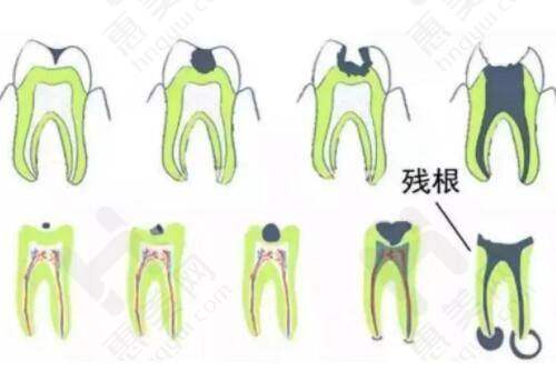 技术亮点特色突出
