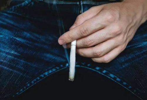 排名优势性价比高