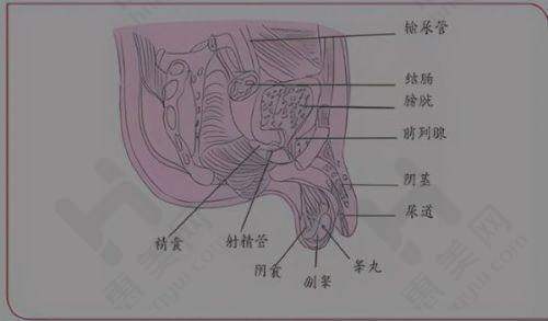门诊部是理想之选