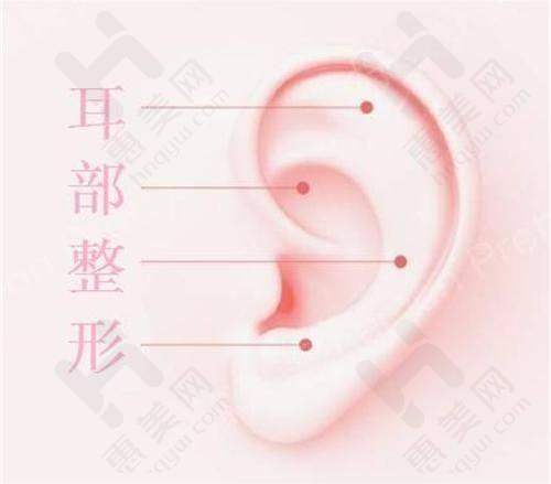 医生团队实力强劲
