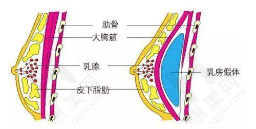 价格透明合理性价比高