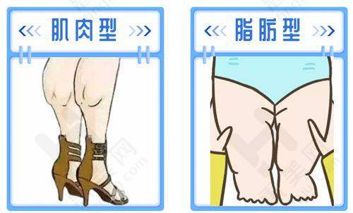 多种预约方式
