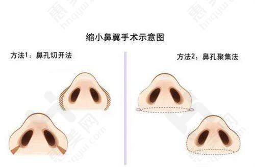 网友评价普遍良好