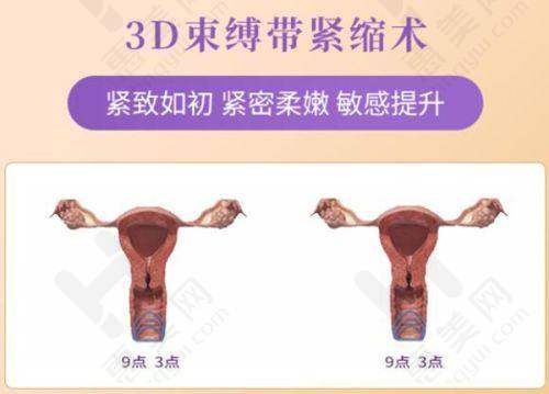 多样项目贴心服务