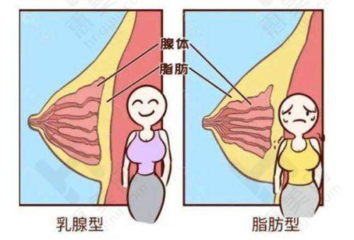 医生团队实力雄厚