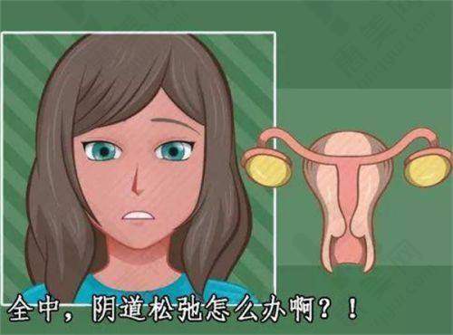 与北京艺星对比各有特色