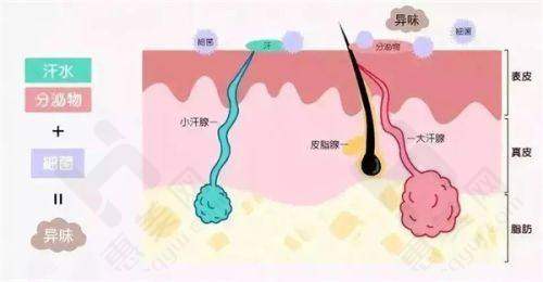 门诊部预约方式便捷