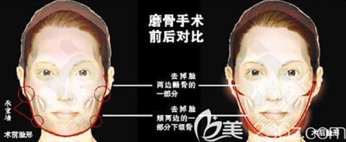 独特优势不可替代