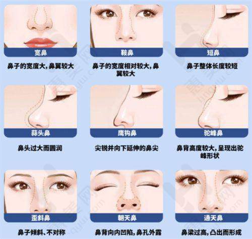 价格透明保护消费权益