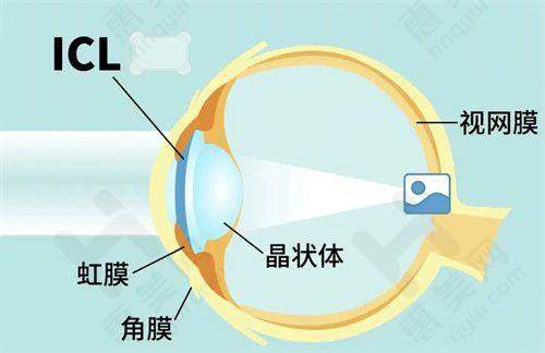关注合作机构坐诊信息