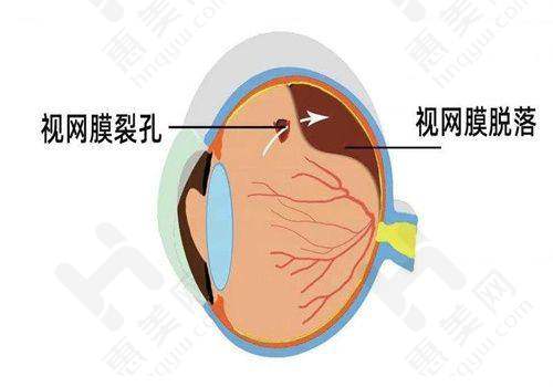医生团队实力雄厚