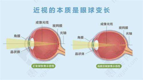 预约挂号方式