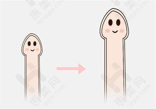 项目丰富价格透明