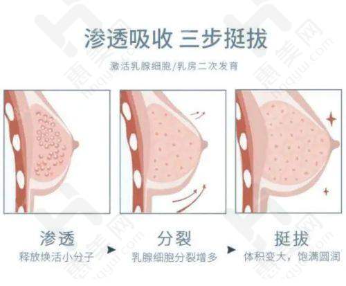 不同出发地路线推荐 - 成都东站出发