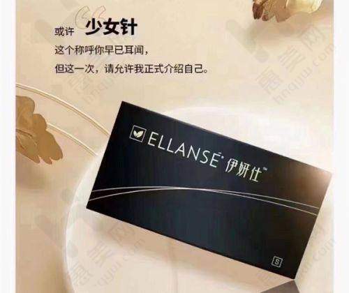 总院与分院差异解析