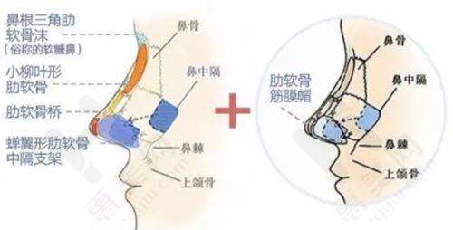 医院医生团队:资质与经验兼备