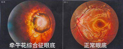 医疗保险定点资格与覆盖类型